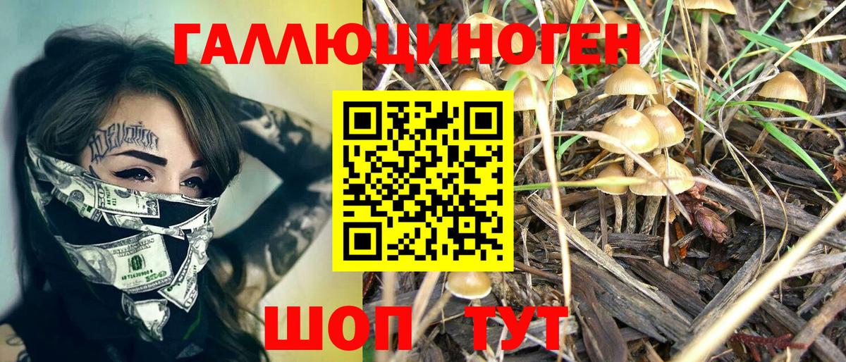 где можно купить наркотик  Галлюциногенные грибы GOLDEN TEACHER  Псилоцибиновые грибы мицелий  Вход с VPN  Калуга 